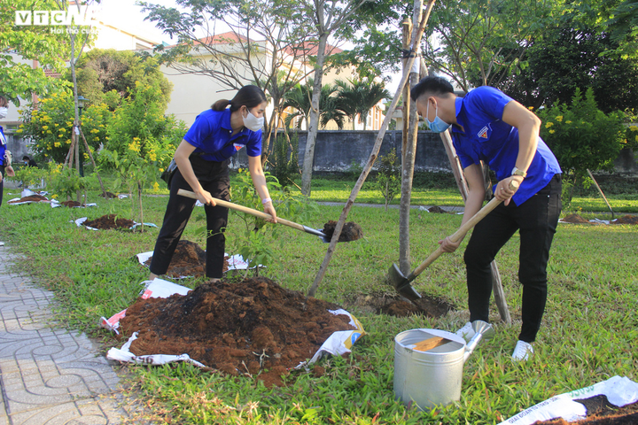 TP Thủ Đức phát động trồng mới 1 triệu cây xanh - 6