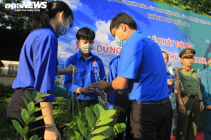 TP Thủ Đức phát động trồng mới 1 triệu cây xanh - 4