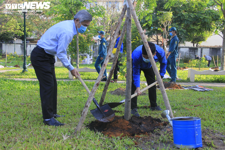 TP Thủ Đức phát động trồng mới 1 triệu cây xanh - 5