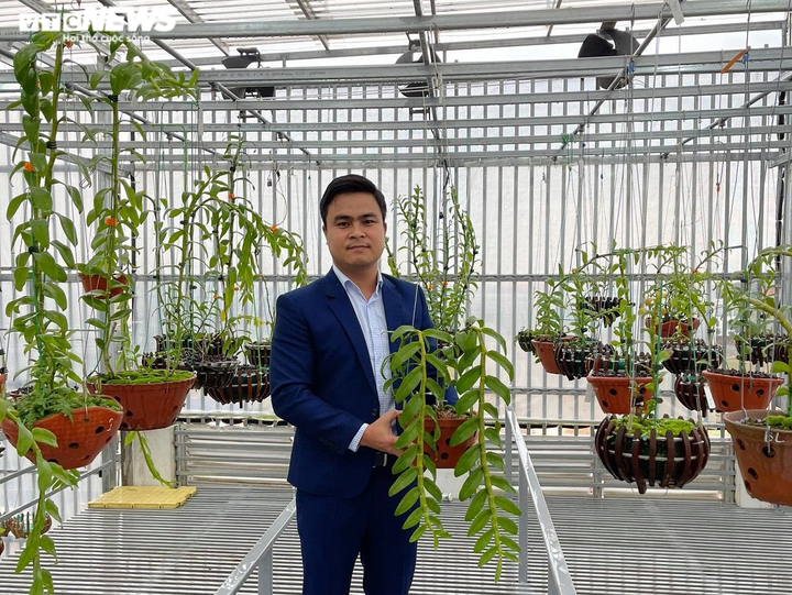 Chàng kỹ sư nông nghiệp với niềm đam mê lan đột biến - 1