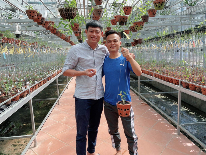 Vườn hoa lan ở Lâm Đông gây sốt với những giống hoa đột biến tiền tỷ - 1