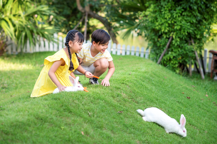 Xu hướng mua nhà nghỉ dưỡng thời COVID-19 thay đổi - 3