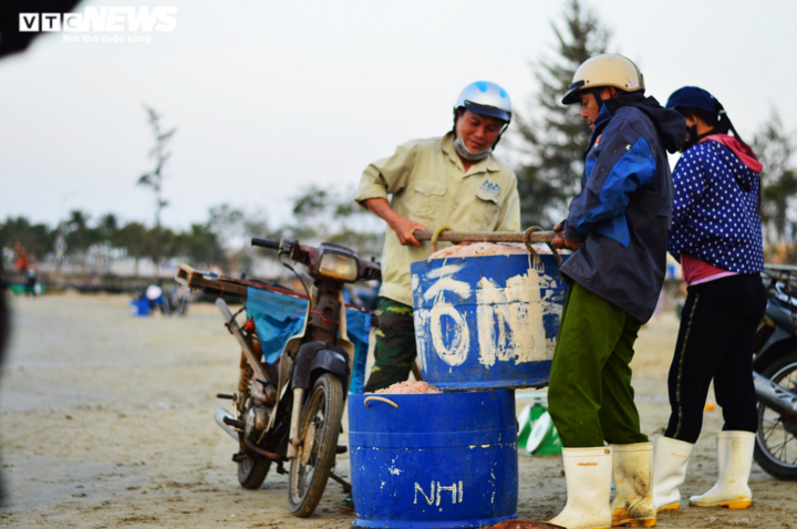 Ngư dân Đà Nẵng trúng đậm mùa ruốc đầu năm - 4