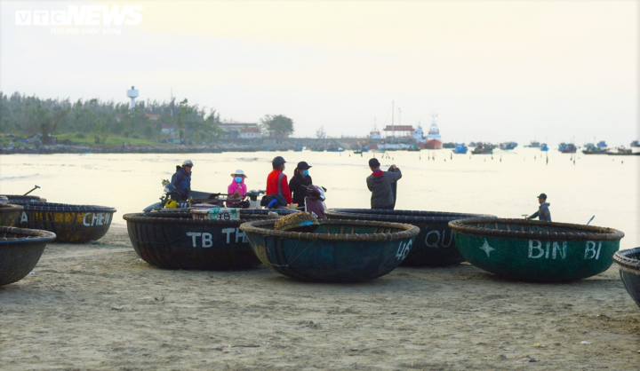 Ngư dân Đà Nẵng trúng đậm mùa ruốc đầu năm - 1