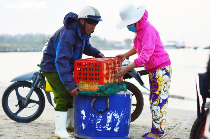 Ngư dân Đà Nẵng trúng đậm mùa ruốc đầu năm - 5