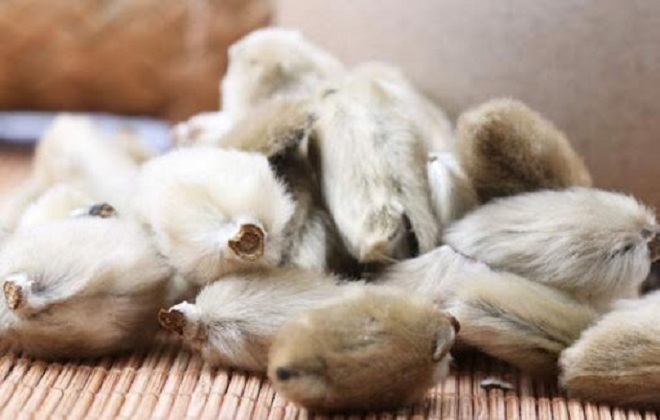 Đánh bay nỗi lo viêm xoang với viên sủi Kaido Plus - 2