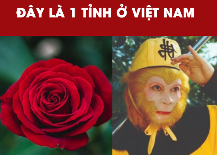 Đố mẹo: Đây là tên của tỉnh nào? - 1