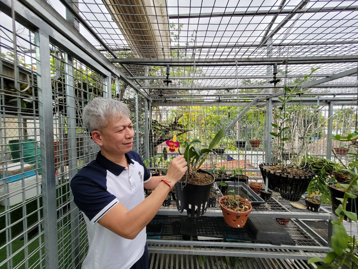 Nguyễn Hữu Hiệp: Ông chủ vườn lan nổi tiếng Hà thành - 2