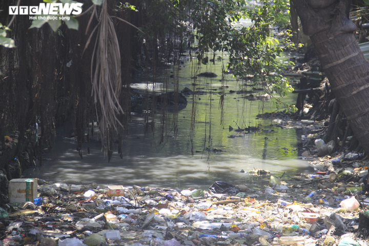 Ảnh: Rác thải phủ kín mặt nước, kênh Hy Vọng khiến người Sài Gòn khiếp sợ - 10