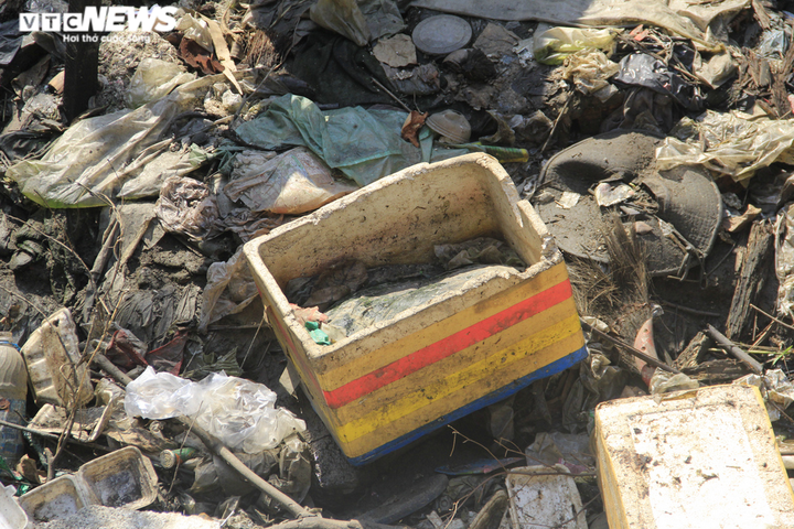 Ảnh: Rác thải phủ kín mặt nước, kênh Hy Vọng khiến người Sài Gòn khiếp sợ - 7