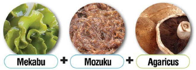 Món quà tuyệt vời từ tảo nâu Okinawa Mozuku với sức khỏe con người - 1