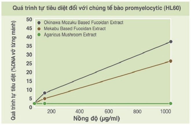 Món quà tuyệt vời từ tảo nâu Okinawa Mozuku với sức khỏe con người - 2