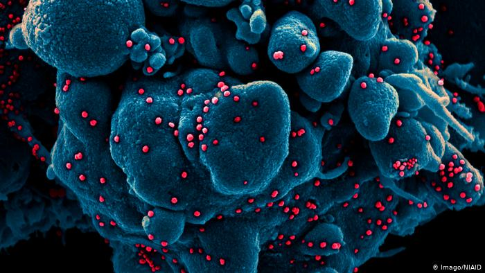 Một năm WHO tuyên bố đại dịch toàn cầu COVID-19: Chúng ta học được điều gì? - 4