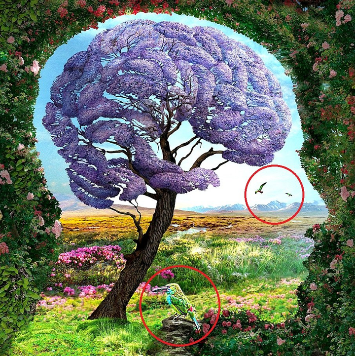 Trắc nghiệm vui đoán tính cách: Bạn thấy chim, cây hay người đầu tiên? - 4