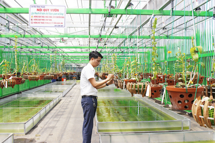 Doanh nhân trẻ Hồ Trọng Long: Gắn bó với nghề, sống với đam mê lan - 2