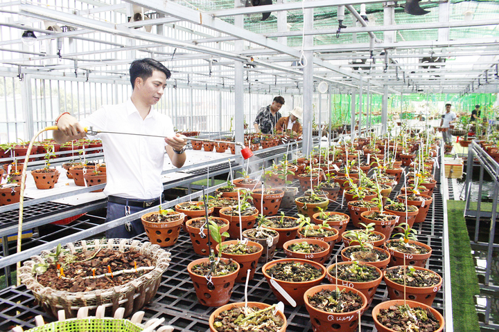 Doanh nhân trẻ Hồ Trọng Long: Gắn bó với nghề, sống với đam mê lan - 3