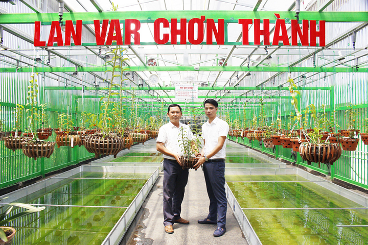 Doanh nhân trẻ Hồ Trọng Long: Gắn bó với nghề, sống với đam mê lan - 4