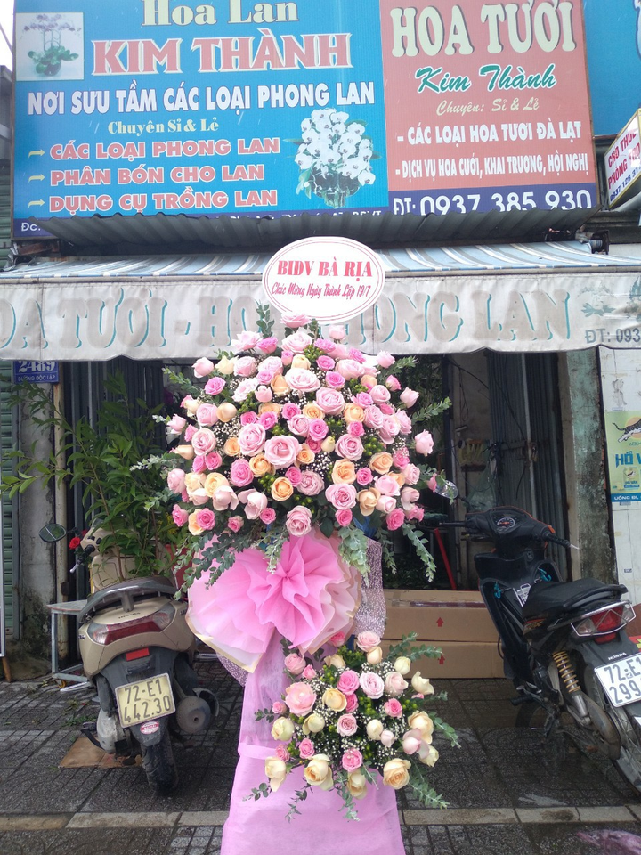 Hoa lan Kim Thành: Thương hiệu hoa 'nức tiếng' tại Bà Rịa- Vũng Tàu - 1