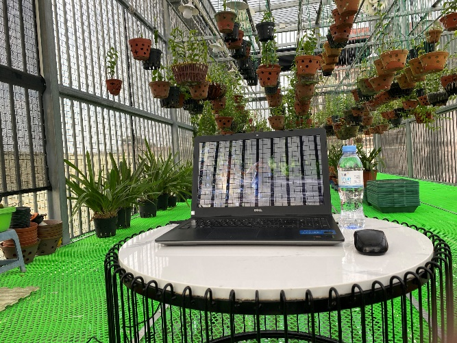 Nguyễn Nam Tuấn: Vị giám đốc có tình yêu đặc biệt với hoa lan - 6