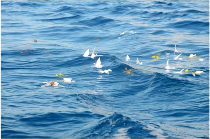 Tri ân những liệt sỹ anh hùng trong trận chiến Gạc Ma 1988 - 3