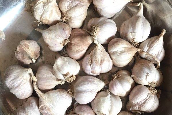 Bóc mẽ chiêu lừa biến tỏi Trung Quốc thành đặc sản Hải Dương - 7