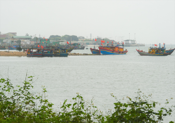 Thủ tướng cắt băng thông xe cầu Cửa Hội nối Nghệ An – Hà Tĩnh - 5