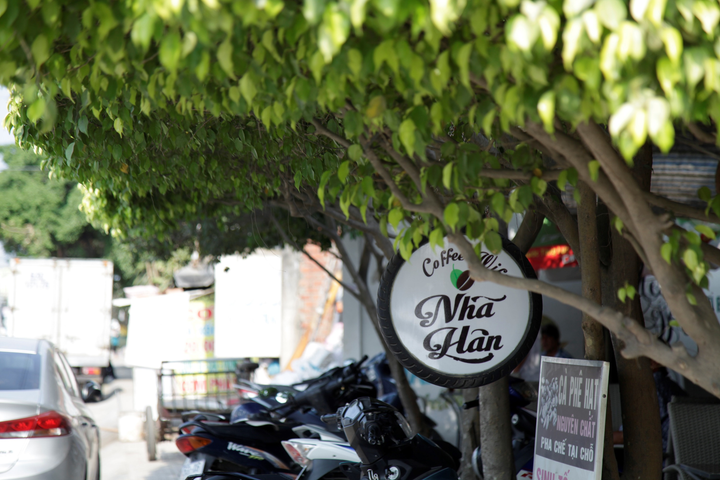 Quán cà phê tạo hình bằng cây si, không cần điều hoà vẫn mát rượi - 6