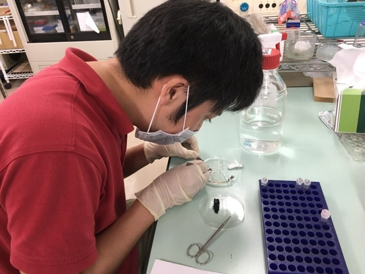 Tiến sĩ Việt nghiên cứu về cá chọi từng bị 9 tạp chí từ chối đăng bài - 3