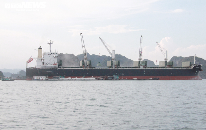 Bắt giữ băng nhóm chuyên 'làm luật' trên vùng biển Quảng Ninh - 1