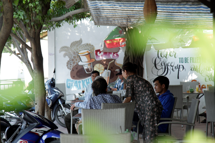 Quán cà phê tạo hình bằng cây si, không cần điều hoà vẫn mát rượi - 5