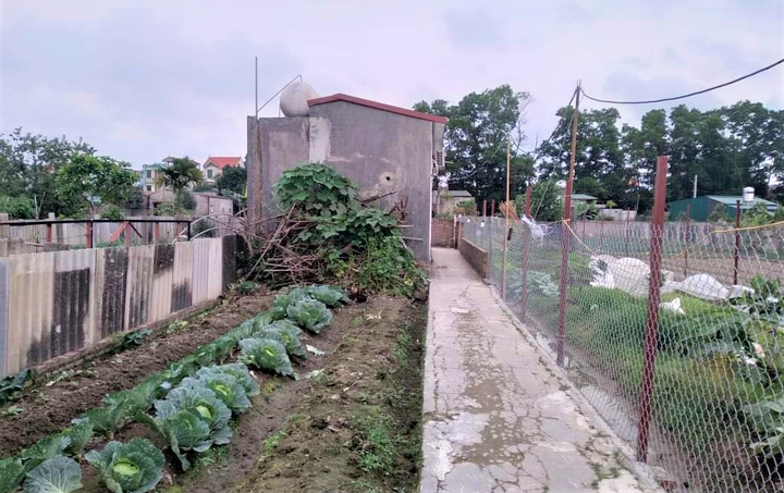 Chồng sát hại vợ và con gái 7 tuổi ở Hà Nội: Lộ nguyên nhân gây án - 1