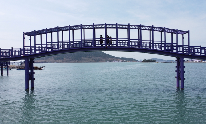 Hòn đảo tím lịm ở Hàn Quốc khiến du khách 'sốt xình xịch' - 4