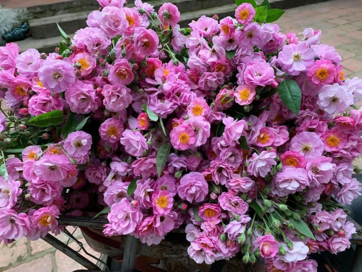 Khách đổ xô mua, hoa dại thôn quê đột ngột đắt hàng - 3