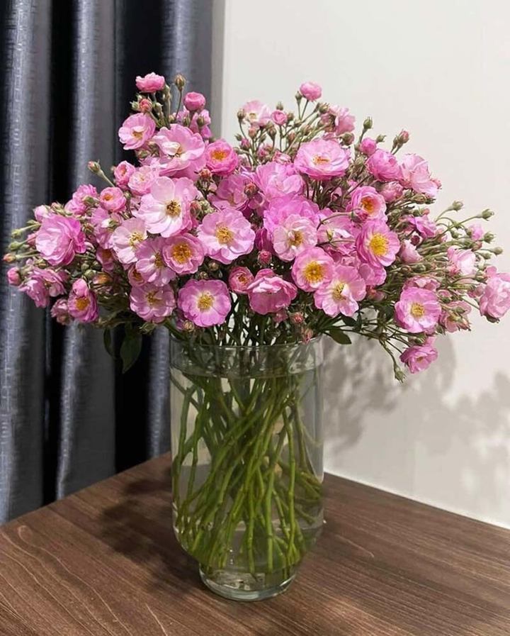 Khách đổ xô mua, hoa dại thôn quê đột ngột đắt hàng - 2