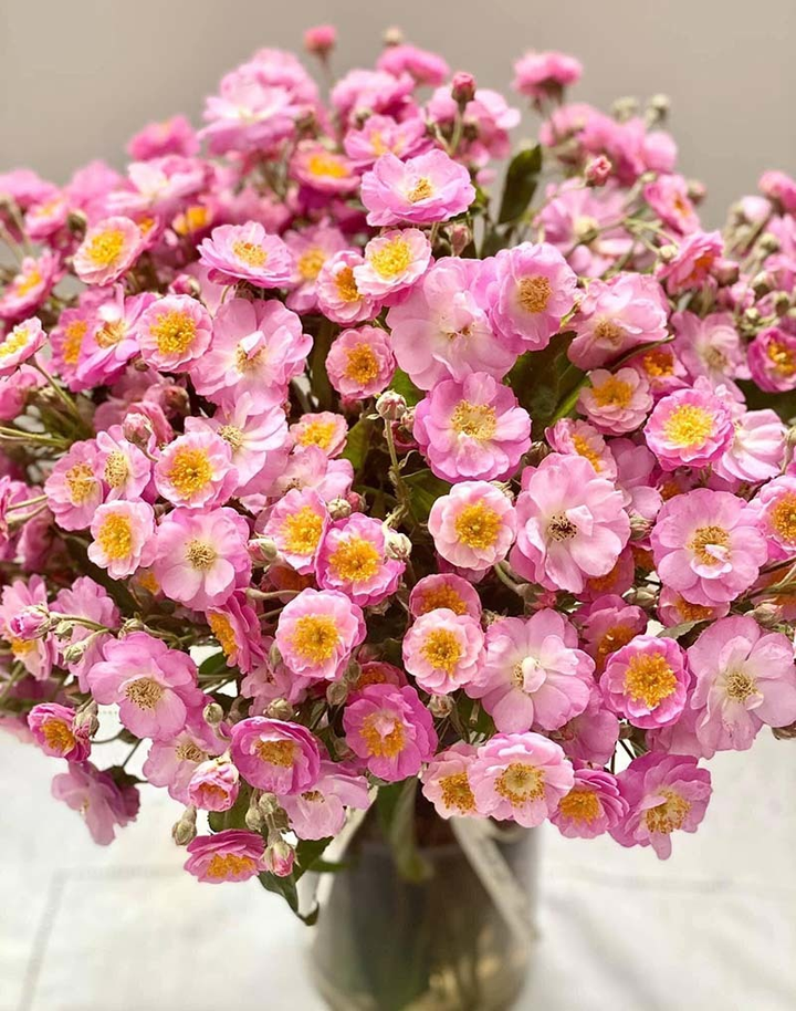 Khách đổ xô mua, hoa dại thôn quê đột ngột đắt hàng - 1