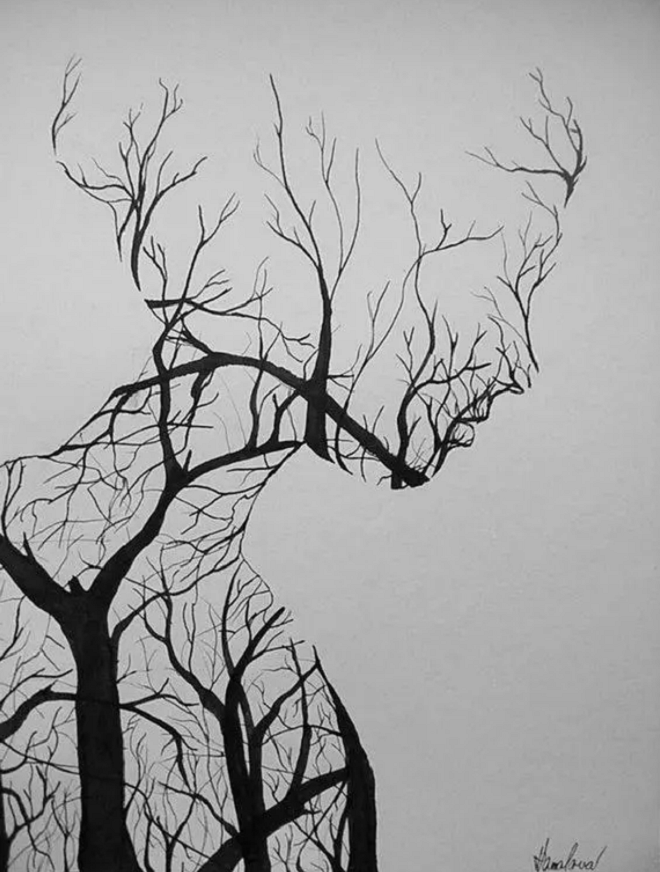 Trắc nghiệm vui đoán tính cách: Bạn nhìn thấy cô gái hay chim hồng hạc? - 2