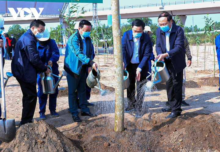 Bộ trưởng TN&MT: 'Trồng cây để sửa chữa những sai lầm trong ứng xử với tự nhiên' - 3