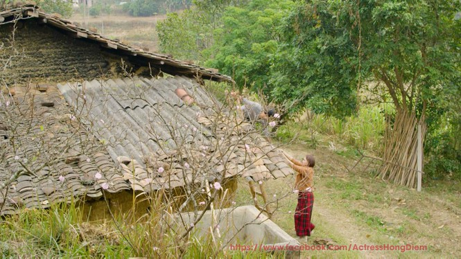 Tiết lộ ảnh lãng mạn của Hồng Diễm, Quốc Đam trong ‘Hướng dương ngược nắng’ - 3