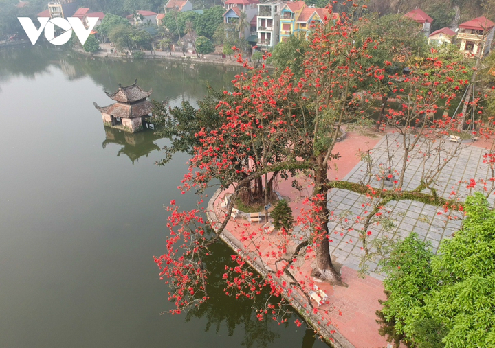 Ảnh: Hà Nội nên thơ với sắc đỏ hoa gạo - 14