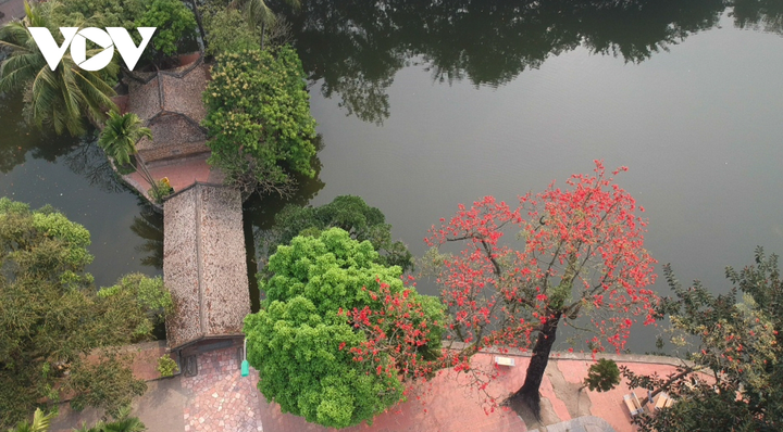 Ảnh: Hà Nội nên thơ với sắc đỏ hoa gạo - 15