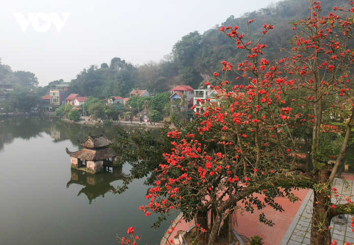 Ảnh: Hà Nội nên thơ với sắc đỏ hoa gạo - 16