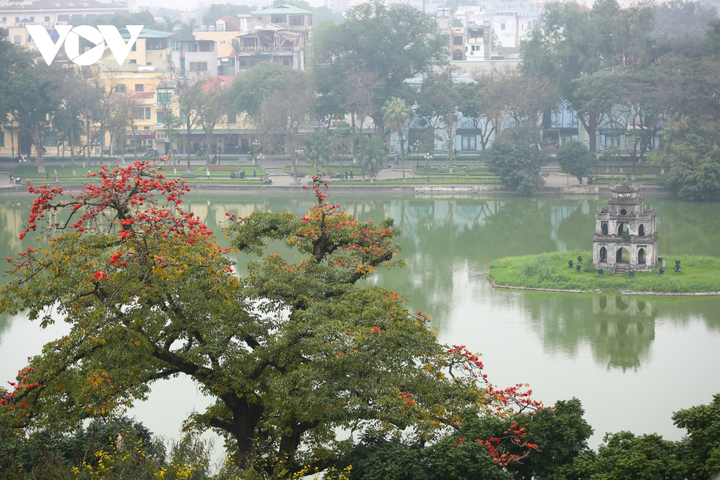 Ảnh: Hà Nội nên thơ với sắc đỏ hoa gạo - 11