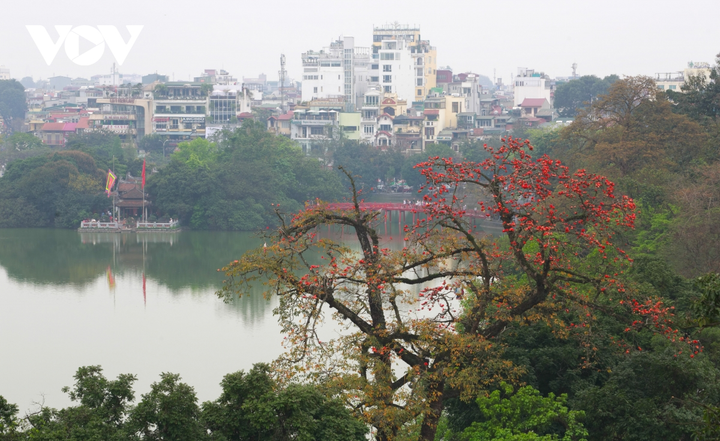 Ảnh: Hà Nội nên thơ với sắc đỏ hoa gạo - 12