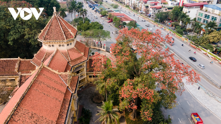 Ảnh: Hà Nội nên thơ với sắc đỏ hoa gạo - 2