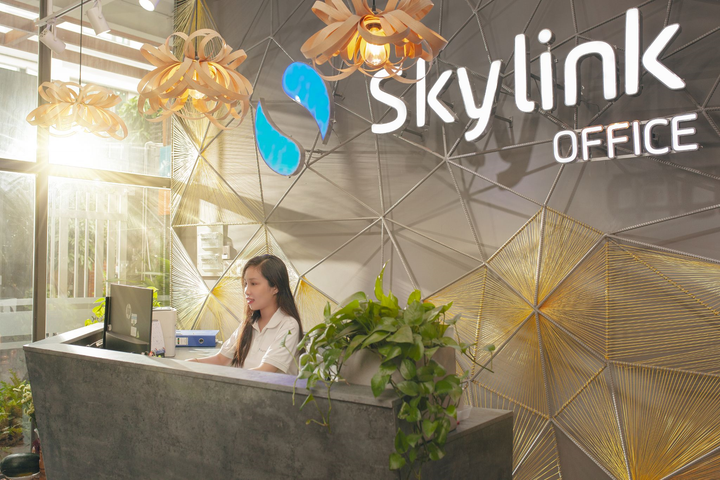 Skylink Group: Gã 'tân binh' khổng lồ - 1