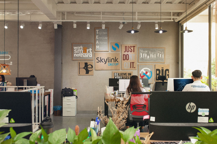 Skylink Group: Gã 'tân binh' khổng lồ - 4