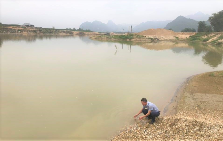 Tìm nguyên nhân cá chết bất thường trên sông ở Nghệ An - 2