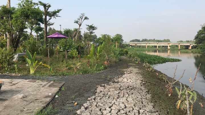 Lấp gần 2.000m2 rạch để xây nhà hàng tiệc cưới khiến dân bức xúc - 4