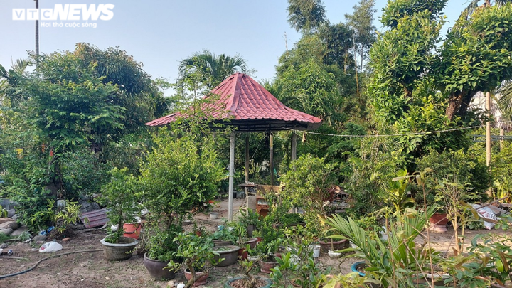 Sắp xử phúc thẩm vụ đền bù 1m2 đất trung tâm Đà Nẵng giá bằng 'cân cá nục' - 1