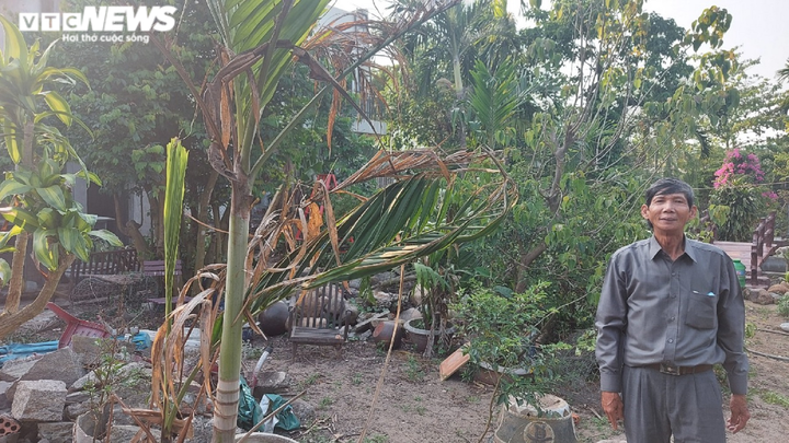 Sắp xử phúc thẩm vụ đền bù 1m2 đất trung tâm Đà Nẵng giá bằng 'cân cá nục' - 2